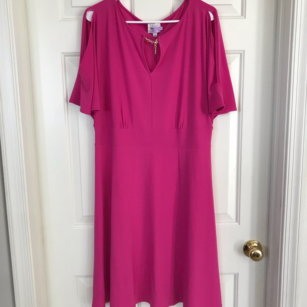 Ashley Graham Dress